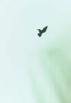 Réduction Pier One T-shirt basique t-shirts col rond homme -Pas Cher Pier One Boutique aa75eabb00fe4d03a62c6a634ae2c33e